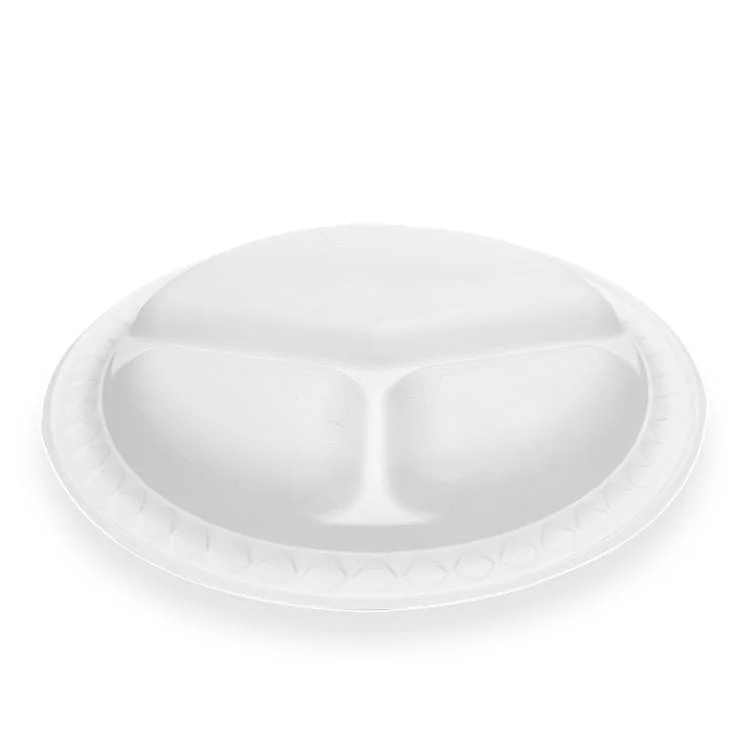 Factory Disposable Plates New Arrival Compostable Water-Fast 10 Inch Food Packaging