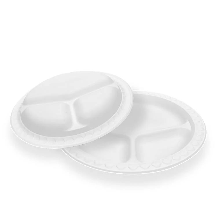 Factory Disposable Plates New Arrival Compostable Water-Fast 10 Inch Food Packaging